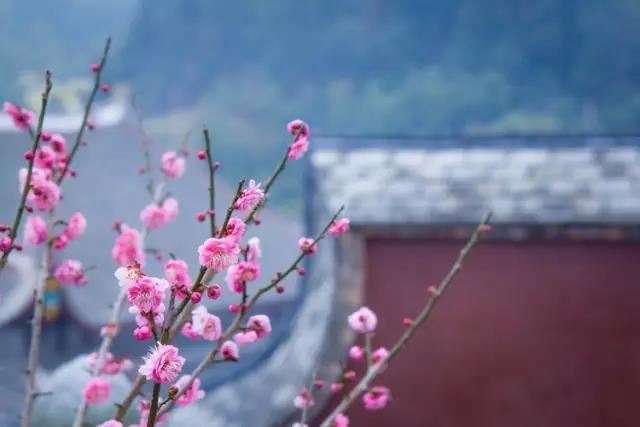 宫词三十三首  其一三 - 曹勋 - 唐代 - 诗词配图