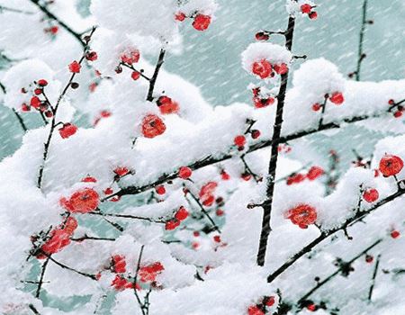 送十三郎赴尉汉阳二首  其二 - 曹彦约 - 唐代 - 诗词配图