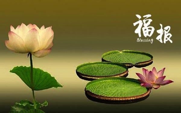 疾风 - 宋庠 - 唐代 - 诗词配图