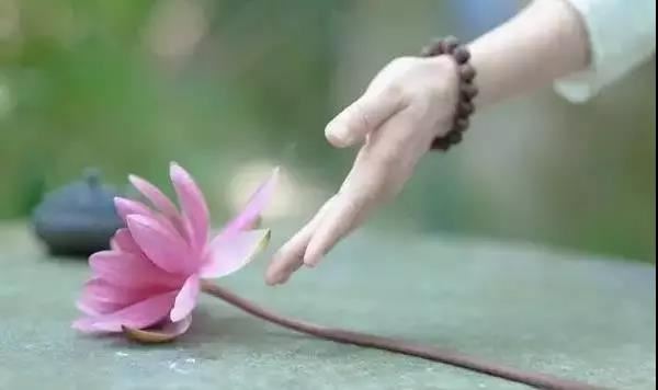 送笋芍药与公择二首  其一 - 苏轼 - 唐代 - 诗词配图