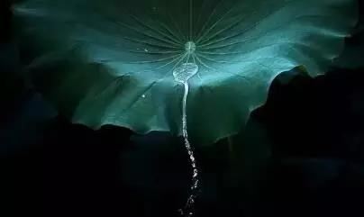 自江下徒步至庙山 - 赵蕃 - 唐代 - 诗词配图