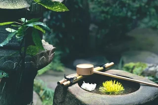 友山李道士抱琴来为予作三曲请诗各为之操 九臯 - 姚勉 - 唐代 - 诗词配图