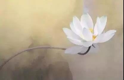 题上元许棠所任王昌龄厅 - 张乔 - 唐代 - 诗词配图