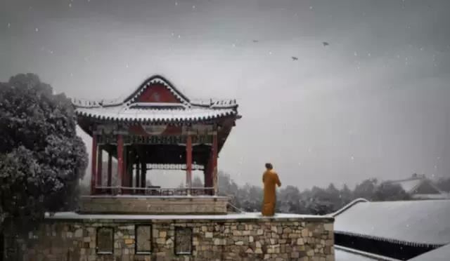 寒梅 - 李龙高 - 唐代 - 诗词配图