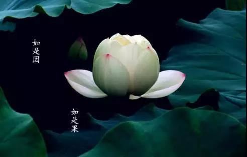 汾阴十首 后土庙降神用《靖安》。 - 郊庙朝会歌辞 - 唐代 - 诗词配图