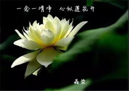 晓发方骞驿 - 苏颋 - 唐代 - 诗词配图