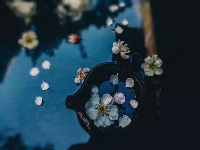 怀至明弟 - 邹浩 - 唐代 - 诗词配图