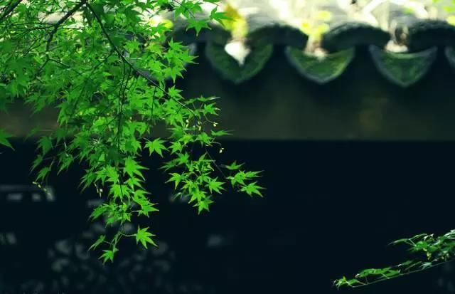 八月十四夜 - 赵处澹 - 唐代 - 诗词配图