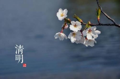 乡人或病予诗多道蜀中遨乐之盛适春日游镜湖共请赋山阴风物遂即杯酒间作四绝句却当持以夸西州故人也  其三 - 陆游 - 唐代 - 诗词配图