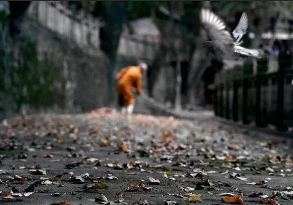 杂感十首  其二 - 陆游 - 唐代 - 诗词配图