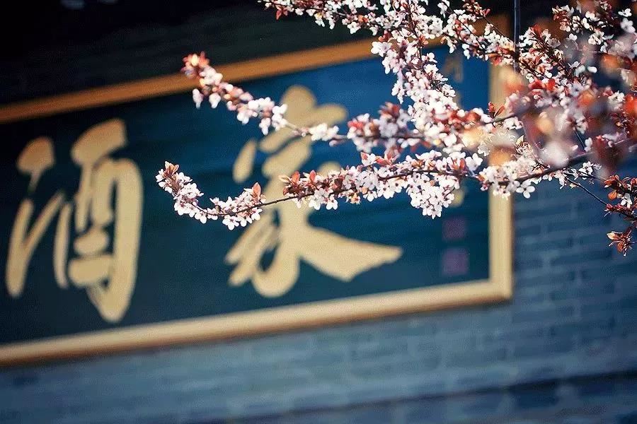 和曾若虚 - 王庭珪 - 唐代 - 诗词配图
