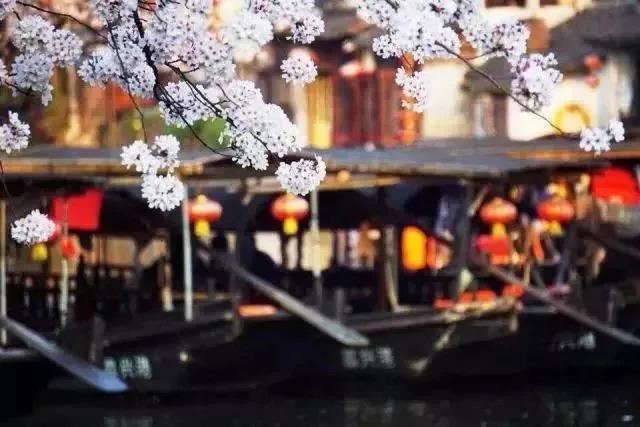 符读书城南 - 韩愈 - 唐代 - 诗词配图