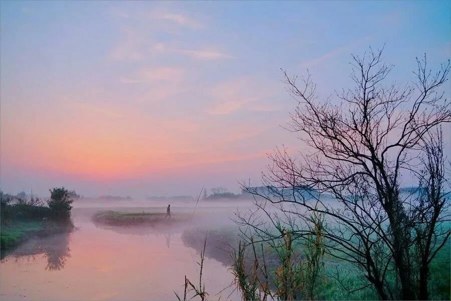 又题张逸人园林 - 韩翃 - 唐代 - 诗词配图