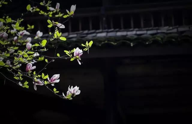次韵罗正之提刑见寄 - 邹浩 - 唐代 - 诗词配图