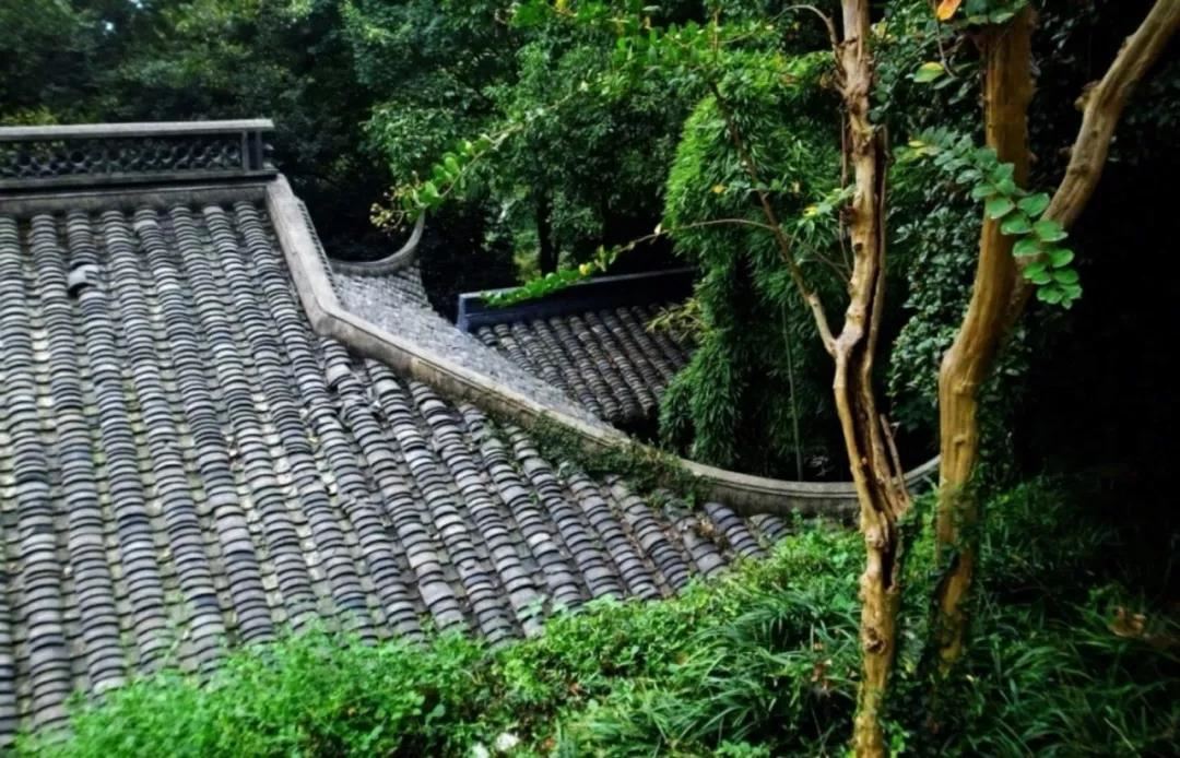 闻李端公垂钓回寄赠 - 鱼玄机 - 唐代 - 诗词配图