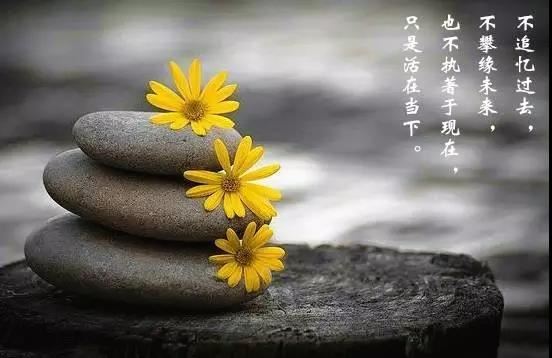 宫词三十三首  其三一 - 曹勋 - 唐代 - 诗词配图