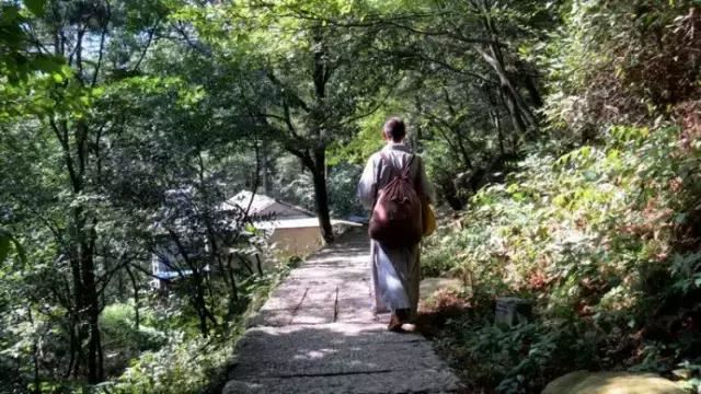 贬乐城尉日作 - 张子容 - 唐代 - 诗词配图