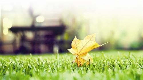 溪庵放言十首  其三 - 刘克庄 - 唐代 - 诗词配图