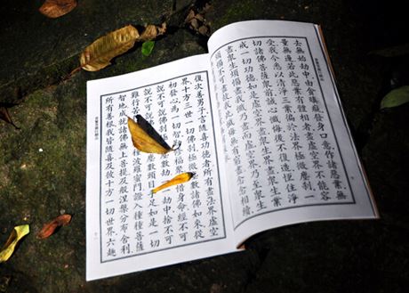 昨日出城南行 - 释文珦 - 唐代 - 诗词配图