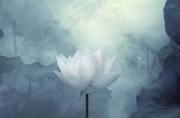 文选楼 - 李廌 - 唐代 - 诗词配图