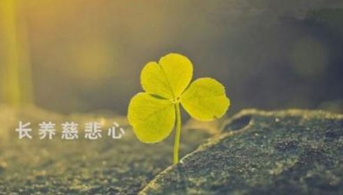 避寇海滨 - 林景熙 - 唐代 - 诗词配图