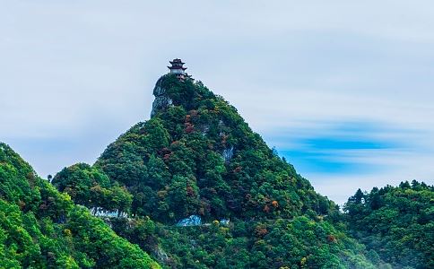 芍药歌 - 韩愈 - 唐代 - 诗词配图