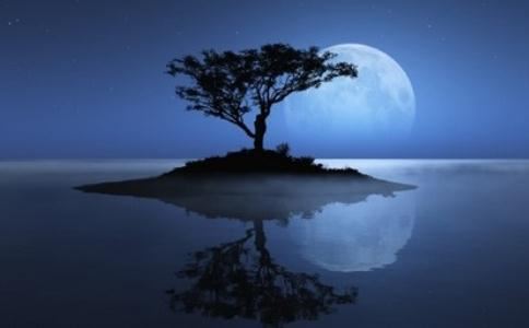 政府生日十首  其八 - 曹勋 - 唐代 - 诗词配图