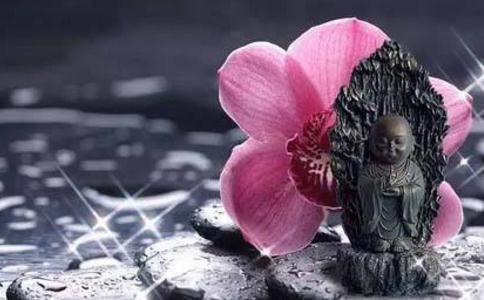 和子瞻司竹监烧苇园因猎园下 - 苏辙 - 唐代 - 诗词配图